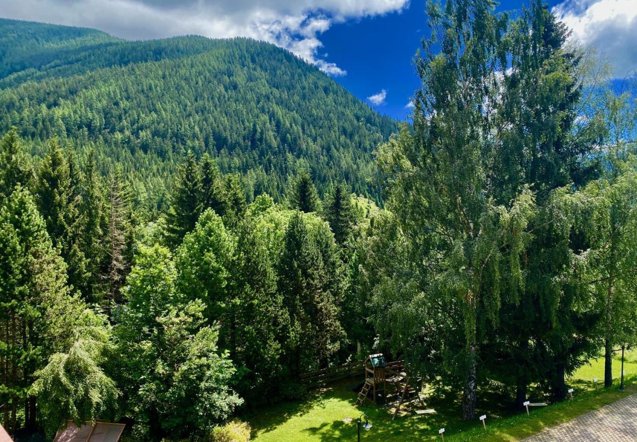 Panorama Rosie Design Chalet Bad Kleinkirchheim Bagian luar foto